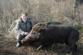 Browse a selection of Wild boar hunting in Bulgaria. Direct offers from outfitters in Hunting area Абланица 2932 on bghunters.com & Bulgaria Hunting Trips, Абланица, община Хаджидимово, област Благоевград, п.к.2932.