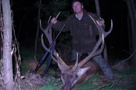 Browse a selection of Fallow deer hunting in Bulgaria. Direct offers from outfitters in Hunting area Баниска 7167 on bghunters.com & Bulgaria Hunting Trips, улица Баниски лом 57, център, Баниска, община Две Могили, област Русе, п.к.7167.