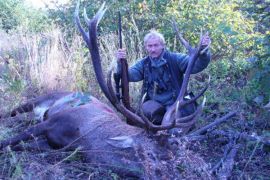 Browse a selection of Fallow deer hunting in Bulgaria. Direct offers from outfitters in Hunting area Бегово 4166 on bghunters.com & Bulgaria Hunting Trips, Бегово, община Калояново, област Пловдив, п.к.4166.