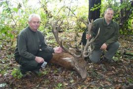 Browse a selection of Red deer hunting in Bulgaria. Direct offers from outfitters in Hunting area Габрово on bghunters.com & Bulgaria Hunting Trips, 40 Lomsko Shose Street, Nadezhda 2, Sofia, Bulgaria, postcode 1220.