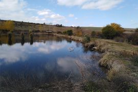 Browse a selection of Fallow deer hunting in Bulgaria. Direct offers from outfitters in Hunting area Кроячево 6766 on bghunters.com & Bulgaria Hunting Trips, Кроячево, община Ардино, област Кърджали, п.к.6766.