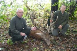 Browse a selection of Red deer hunting in Bulgaria. Direct offers from outfitters in Hunting area Поповица 4127 on bghunters.com & Bulgaria Hunting Trips, Поповица, община Куклен, област Пловдив, п.к.4127.