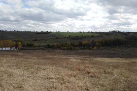 Browse a selection of Fallow deer hunting in Bulgaria. Direct offers from outfitters in Hunting area Престой 5350 on bghunters.com & Bulgaria Hunting Trips, Престой, община Трявна, област Габрово, п.к.5350.