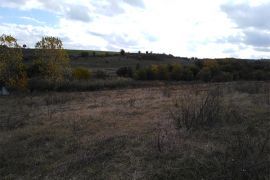 Browse a selection of Fallow deer hunting in Bulgaria. Direct offers from outfitters in Hunting area Престой 5350 on bghunters.com & Bulgaria Hunting Trips, Престой, община Трявна, област Габрово, п.к.5350.