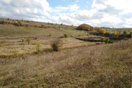 Browse a selection of Fallow deer hunting in Bulgaria. Direct offers from outfitters in Hunting area Престой 5350 on bghunters.com & Bulgaria Hunting Trips, Престой, община Трявна, област Габрово, п.к.5350.