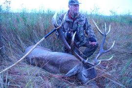 Browse a selection of Red deer hunting in Bulgaria. Direct offers from outfitters in Hunting area Рупци 3726 on bghunters.com & Bulgaria Hunting Trips, улица Първа 30, център, Рупци, община Видин, област Видин, п.к.3726.