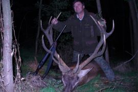 Browse a selection of Red deer hunting in Bulgaria. Direct offers from outfitters in Hunting area Септември 4490 on bghunters.com & Bulgaria Hunting Trips, улица Александър Стамболийски 37, Септември, община Септември, област Пазарджик, п.к.4490.