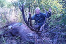 Browse a selection of Red deer hunting in Bulgaria. Direct offers from outfitters in Hunting area Септември 4490 on bghunters.com & Bulgaria Hunting Trips, улица Александър Стамболийски 37, Септември, община Септември, област Пазарджик, п.к.4490.