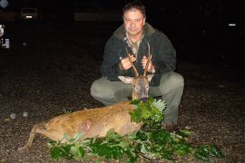 Browse a selection of Red deer hunting in Bulgaria. Direct offers from outfitters in Hunting area misarya sozopol 8130 on bghunters.com & Bulgaria Hunting Trips, 40 Lomsko Shose Street, Nadezhda 2, Sofia, Bulgaria, postcode 1220.