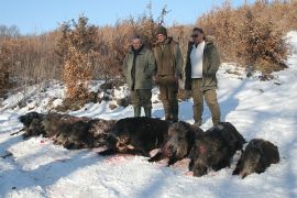 Browse a selection of Big game hunting trips in Bulgaria. Direct offers from outfitters in Hunting area misarya sozopol 8130 on bghunters.com & Bulgaria Hunting Trips, 40 Lomsko Shose Street, Nadezhda 2, Sofia, Bulgaria, postcode 1220.